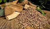Việt Nam now world’s second-largest fuel pellet exporter