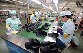 Increased competitive advantage, export of leather and footwear is positive