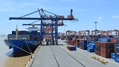 Exporters face slew of difficulties due to COVID