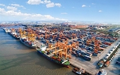 Businesses satisfied with customs support