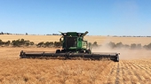 India reduces lentil tariffs for Australia as Canadian crop shrinks
