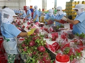 Agro-forestry-aquatic product exports up nearly 27% in seven months