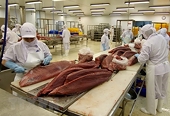 Tuna exporters forecast to meet difficulties in Q3