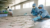 Solutions to facilitate consumption and export of agricultural products
