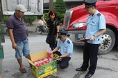 Lang Son deploys solutions for supporting dragon fruit exports