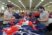 Vietnamese businesses advised grasping new trend to increase exports to Spain