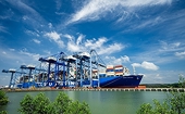 Rising freight rates force exporters to increase orders at CIF prices to retain customers