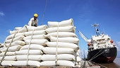 Room remains for Vietnam's exports to Italy