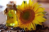India cut Import duty on soya, sunflower oils