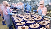 Vietnam's import-export turnover up 24% in nine months