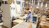 Good prospects for wood sector’s recovery
