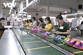 Vietnamese canvas shoe exports outstrip China's