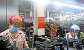 Vietnam share of global footwear exports surges past 10 pct