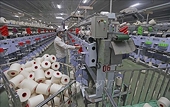 More effective use of trade remedy tools needed when joining FTA
