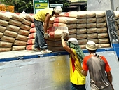 Anti-dumping case filed against Vietnam cement in the Philippines