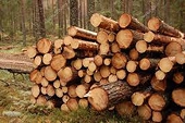 Ottawa disappointed by US decision to double Canadian lumber tariffs
