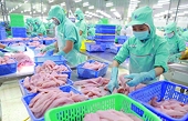 Seafood exports look forward to year-end orders