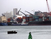 Egypt imposes anti-dumping duties on US imports of PVC