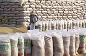Vietnamese firms seek to boost export to South Africa