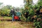 More fruit and vegetable export opportunities for Vietnamese produce next year