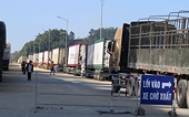 Vietnam seeks solutions to ease congestion of agricultural products at border gates