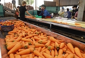 MoIT aims for 8% export growth this year