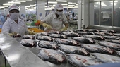 Vietnam’s 2022 economic growth projected at 6.5-6.7 percent