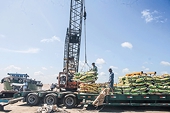 FTAs provide impetus for exports