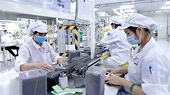 Food firms reject new export orders on delivery costs