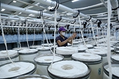 Fiber export turnover reaches record $5.6 billion in 2021
