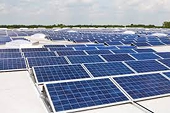 Canadian solar panels must be excluded from U.S. import tariffs, says international board