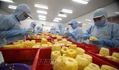Vietnamese export, import affected by Russia-Ukraine conflict: experts