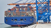 Rising logistics costs hit exporters