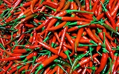 Vietnamese fresh chili approved for export to China