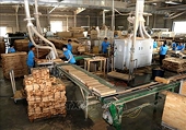 Wood exports look to seize chances brought by FTAs