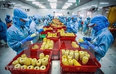 Veggie, fruit exports changing markets