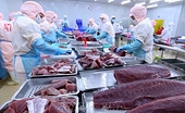 Tuna export maintains high growth in Q1