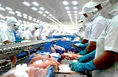 Pangasius exports accelerate, enterprises have high expectations in Q2