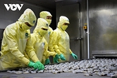 Shrimp exports grow 44% on effective use of FTAs