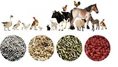 Imports of animal feed and animals fell 12.9% in first four months