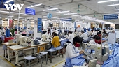 Garment exports to major markets rise considerably