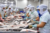 Vietnam expecting seafood export increase thanks to RCEP