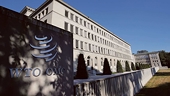 WTO: India against customs duties moratorium continuation on ecomm trade
