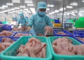 Vietnam has yet to take advantages of FTAs for agricultural product export