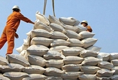 Market requirements for rice exports to Nordic market