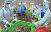 Seafood export takes larger bite out of foreign markets