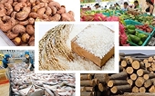 Agro-forestry-fishery exports rake in 27.88 billion USD in 6 months
