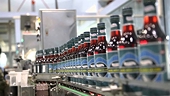 Vietnamese fish sauce industry seeks ways to expand abroad