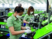 Processing and manufacturing industry attracts foreign investors