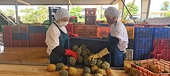 Agro-forestry-fishery exports on track to surpass yearly target